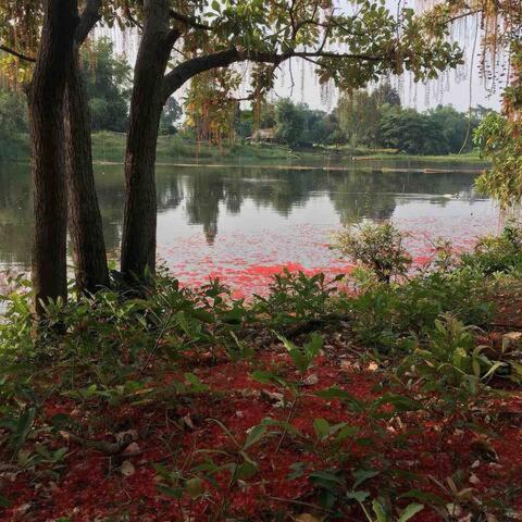 Morocco Blue Cafe By Chilong River Farm Resort Muang Kosum Buitenkant foto